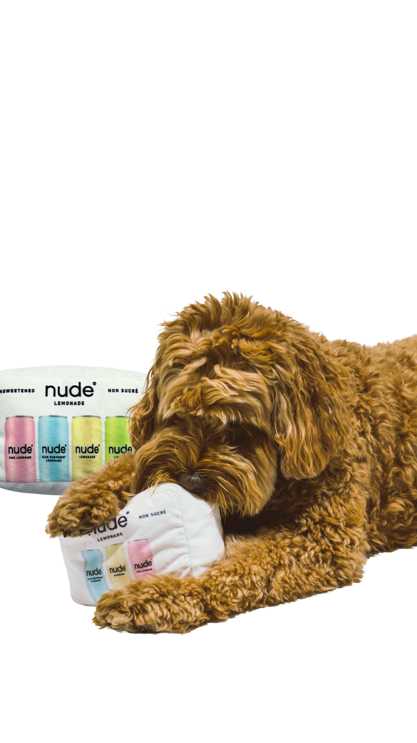 Nude Beverages Dog Toy - 2 pack